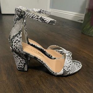 Snake print heels size 7 in women’s.